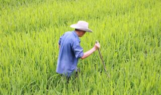 生物锁是什么意思 生物锁是什么意思
